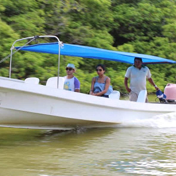 Paseos en lancha en Tabasco